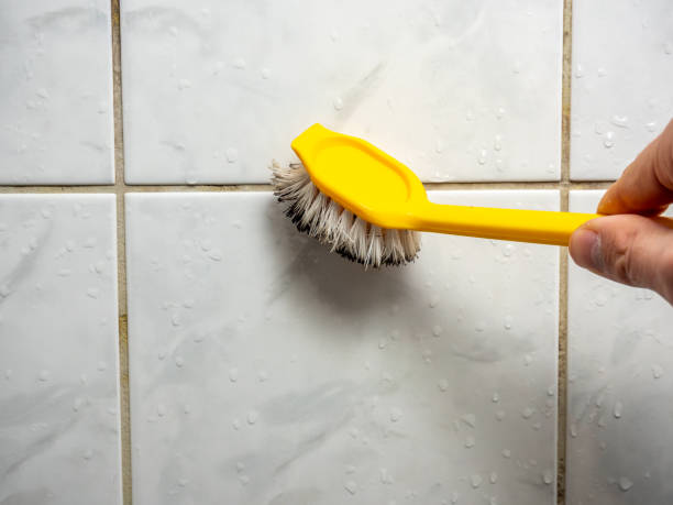 Best Certified Mold Removal  in , NJ