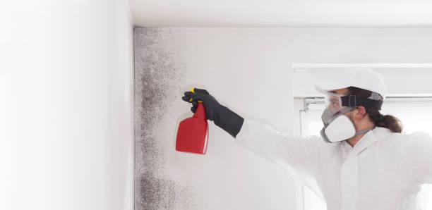 Best Professional Mold Removal  in , NJ